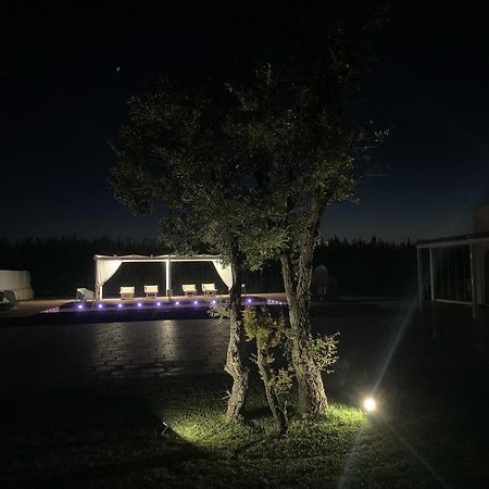 Villa Marieta Polignano a Mare Eksteriør billede